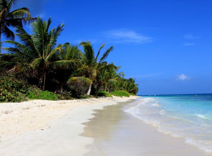 Wallpaper Flamenco Beach, Culebra, Puerto Rico, palms, Best beaches of 2016, Travellers Choice Awards 2016, Travel 5693410391